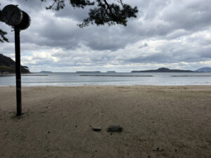 菊ヶ浜③